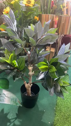 Artificial Plant and Flowers