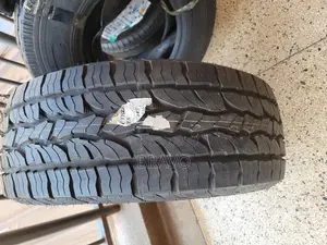 285/60r18 New DUNLOP for V8.