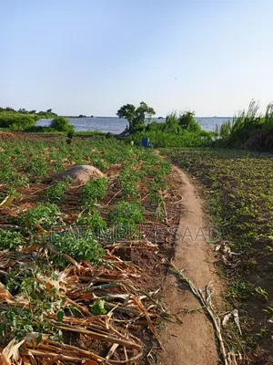 5 Acres of Farm Land on Lake Shores