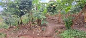 1 Acre and 30 Decimals