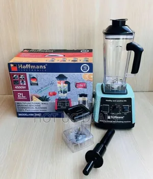 Hoffmans 2 In 1 Commercial 2l Jar Blender
