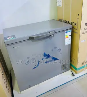 Hisense Deep Freezer 260L Titanium Gray