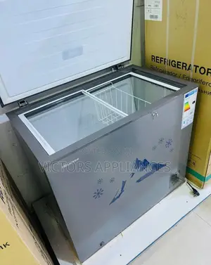 Hisense Deep Freezer 260L Titanium Gray