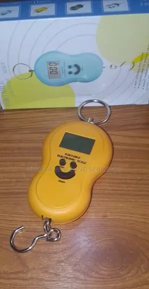 Accurate Portable Pocket Hanging Scale (001)