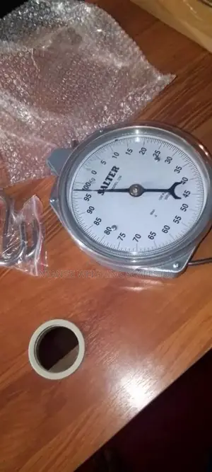 Hanging Weigh 100kg Food Weighing Scale Mechanical Weighing Scale (10)