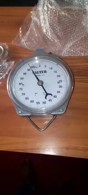Best Quality Weigh Scale 100kg Weigh Mechanical Hanging Weighingscale