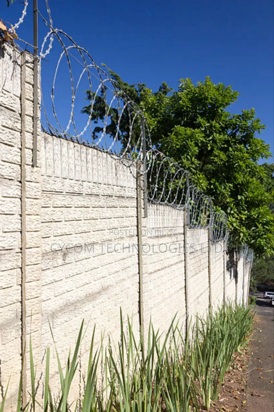 Razor Wire Non Rusting 6.5 MTRS