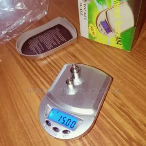 Small Electronic Digital Portable Scale (012)