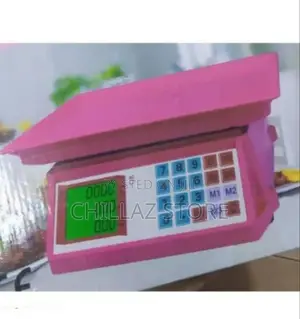 Kitchen Computer Scale