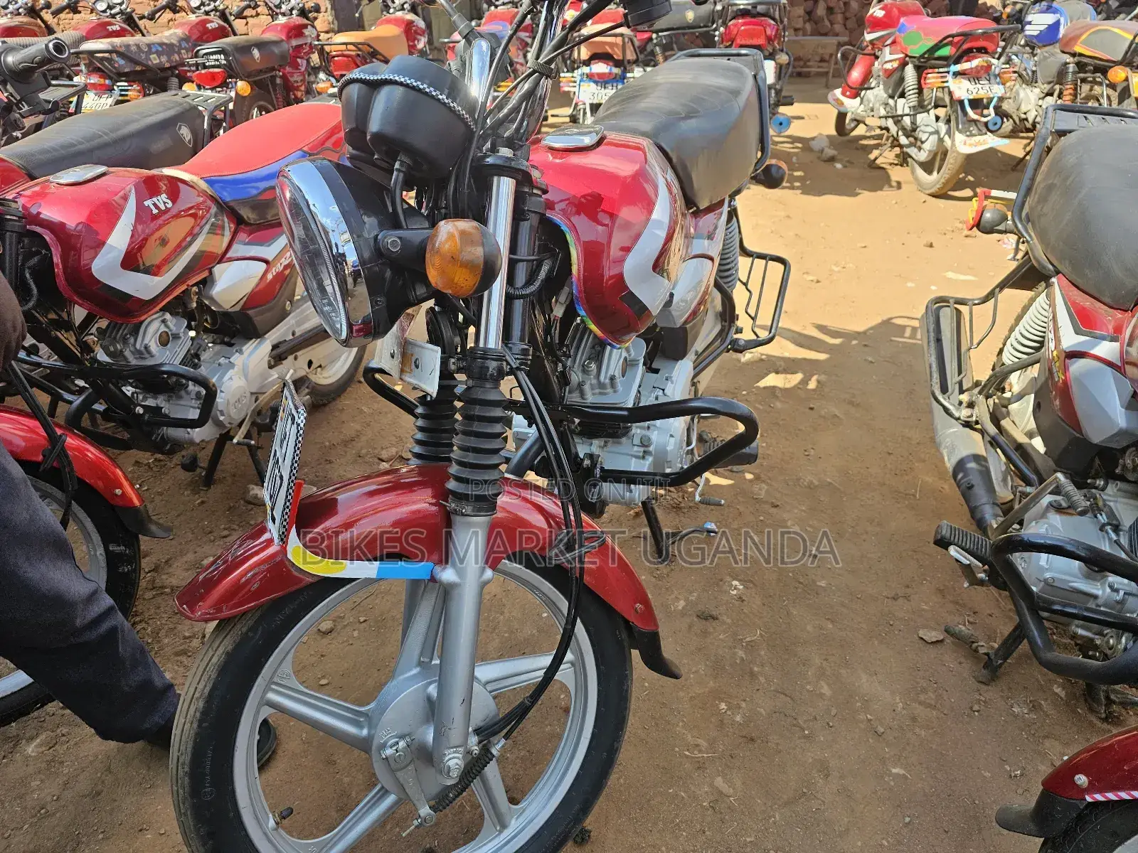 TVS HLX 125 2023 Red