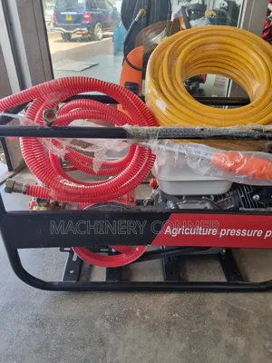 Garden Sprayer 4 Stoke