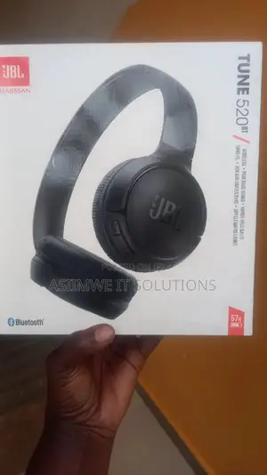 JBL Original Headset. 520