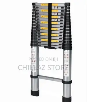 Adjustable Ladder