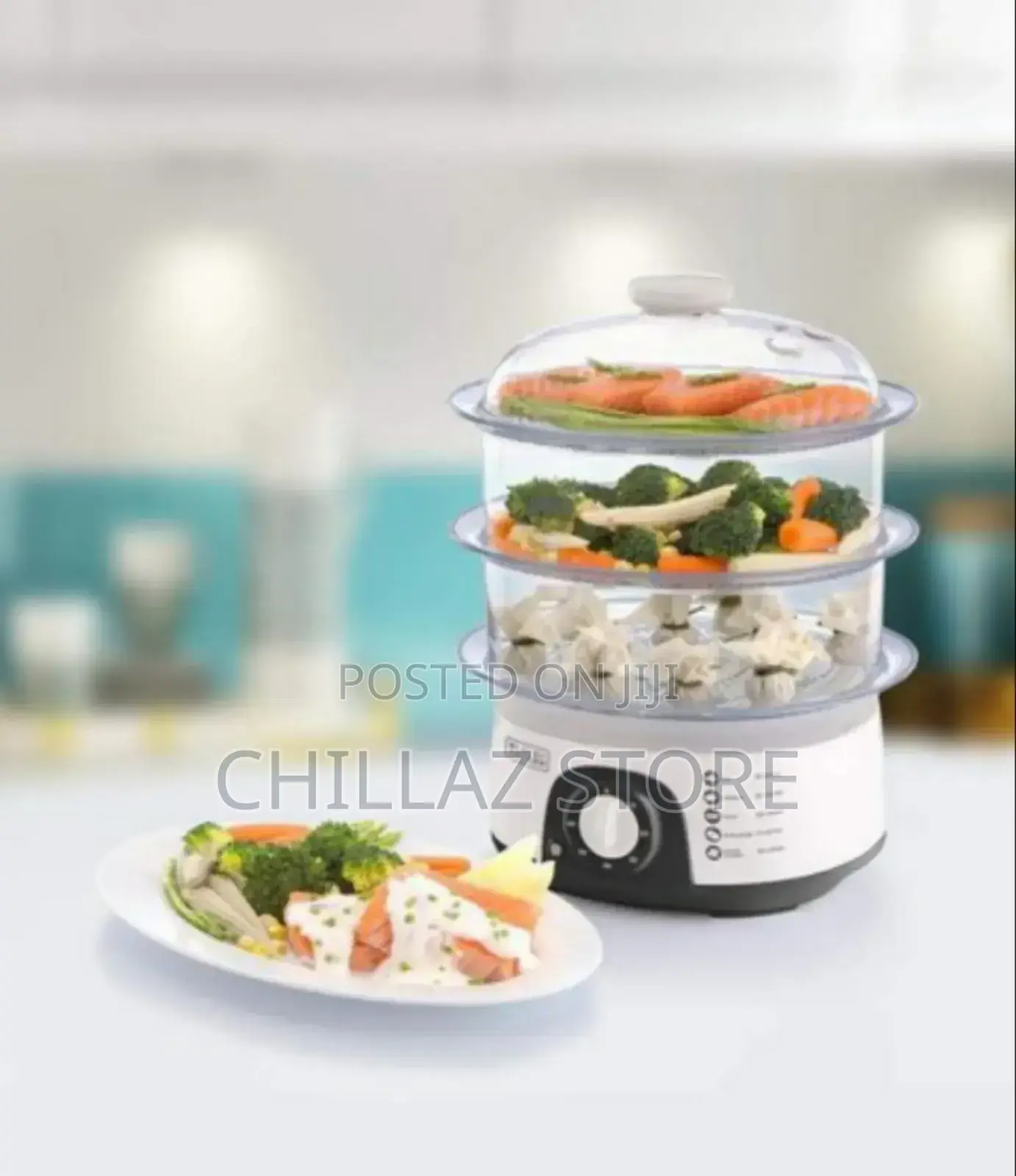 Electric Food Steamer