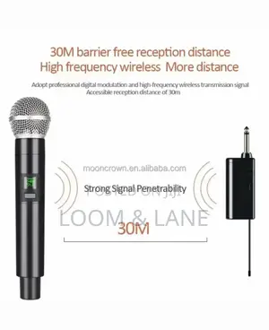 Professional Wireless Microphone