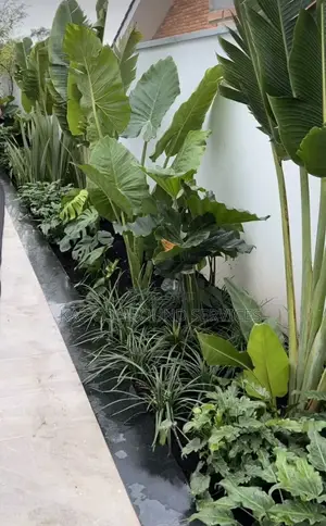 Best Landscaping Designs