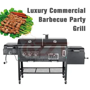Double Barbecue Grill (Gas and Charcoal)