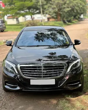 Mercedes-Benz S-Class 2014 Brown