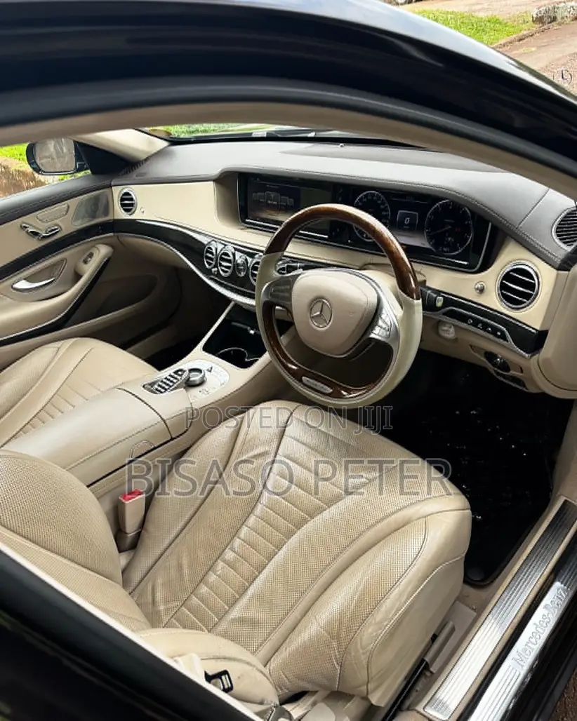 Mercedes-Benz S-Class 2014 Brown