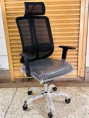 Mesh Office Chair (With Head Rest)
