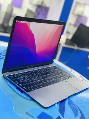 Laptop Apple MacBook Pro 2017 8GB Intel Core I5 SSD 256GB
