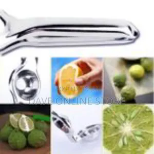 Stainless Steel Lemon Orange Lime Squeezer Juicer