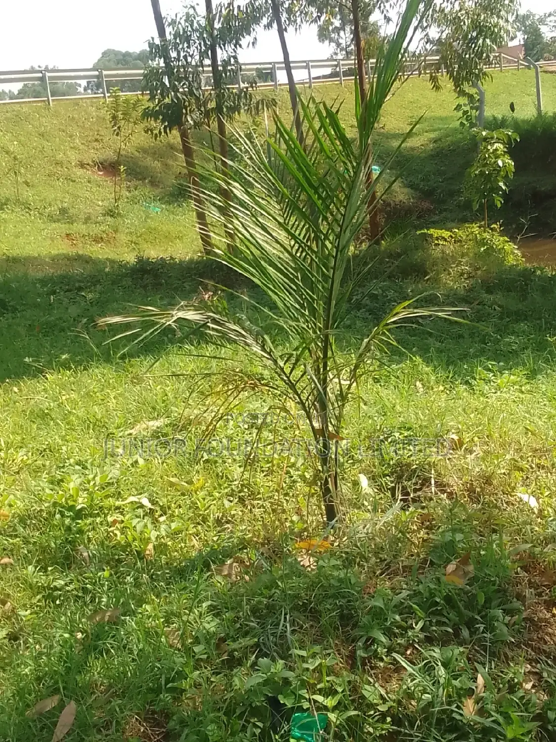 Land for Rent
