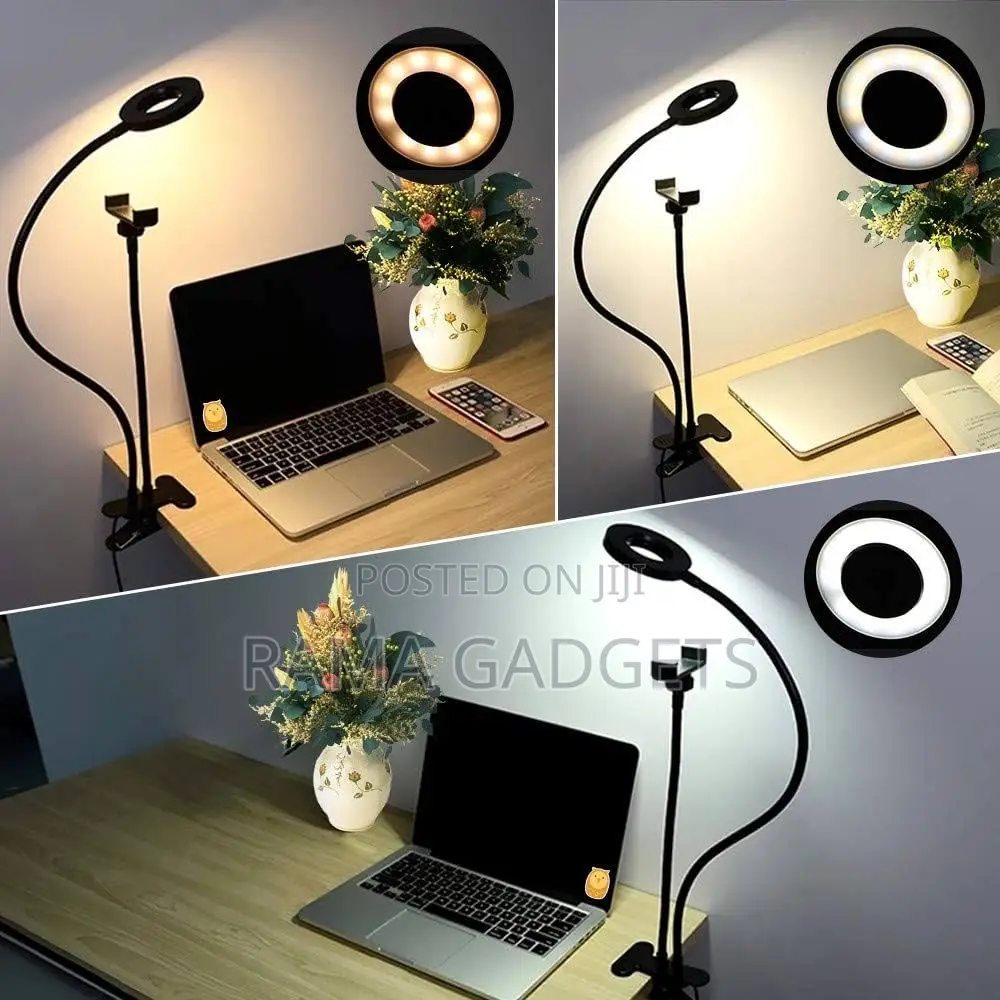 Professional Live Stream Ring Light and Phone Holder