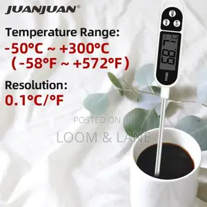 Digital Food Thermometer