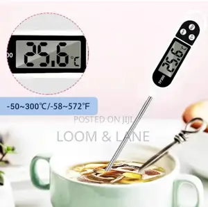 Digital Food Thermometer