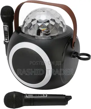 Karaoke Machine With 2 Microphones