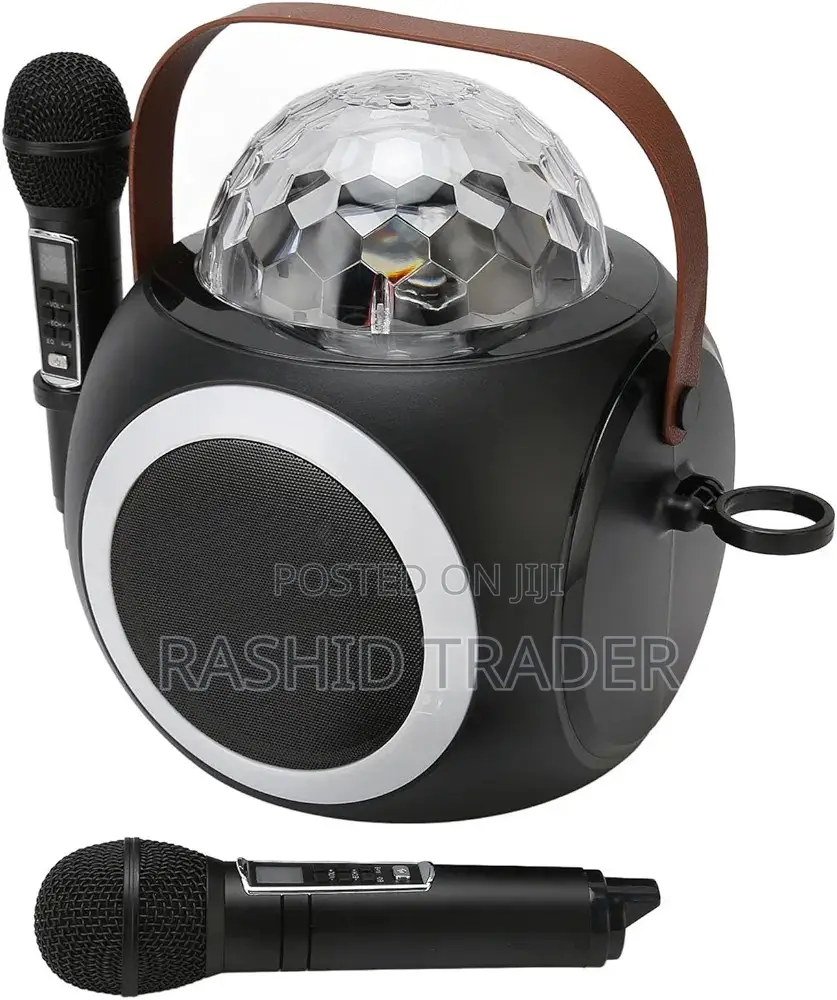 Karaoke Machine With 2 Microphones