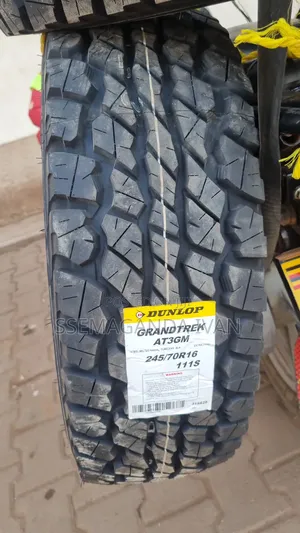 245/70r16 Dunlop At3g