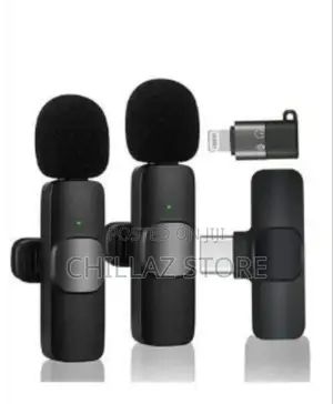 Portable Wireless Microphone