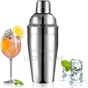 Stainless Steel Cocktail Shaker