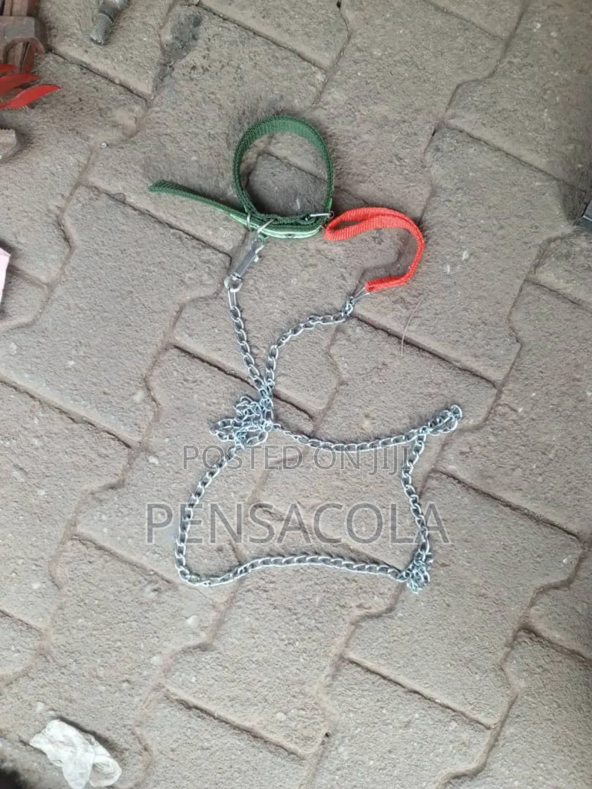 Dog Chain For Puppies