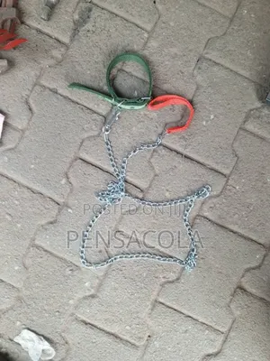 Dog Chain For Puppies