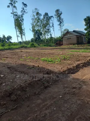 Gayaza Kijabigyo Nice Plots