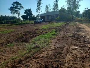 Kira Gayaza on Sell