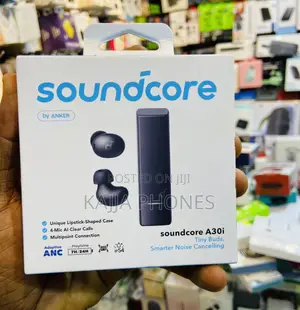 Anker Soundcore A30i