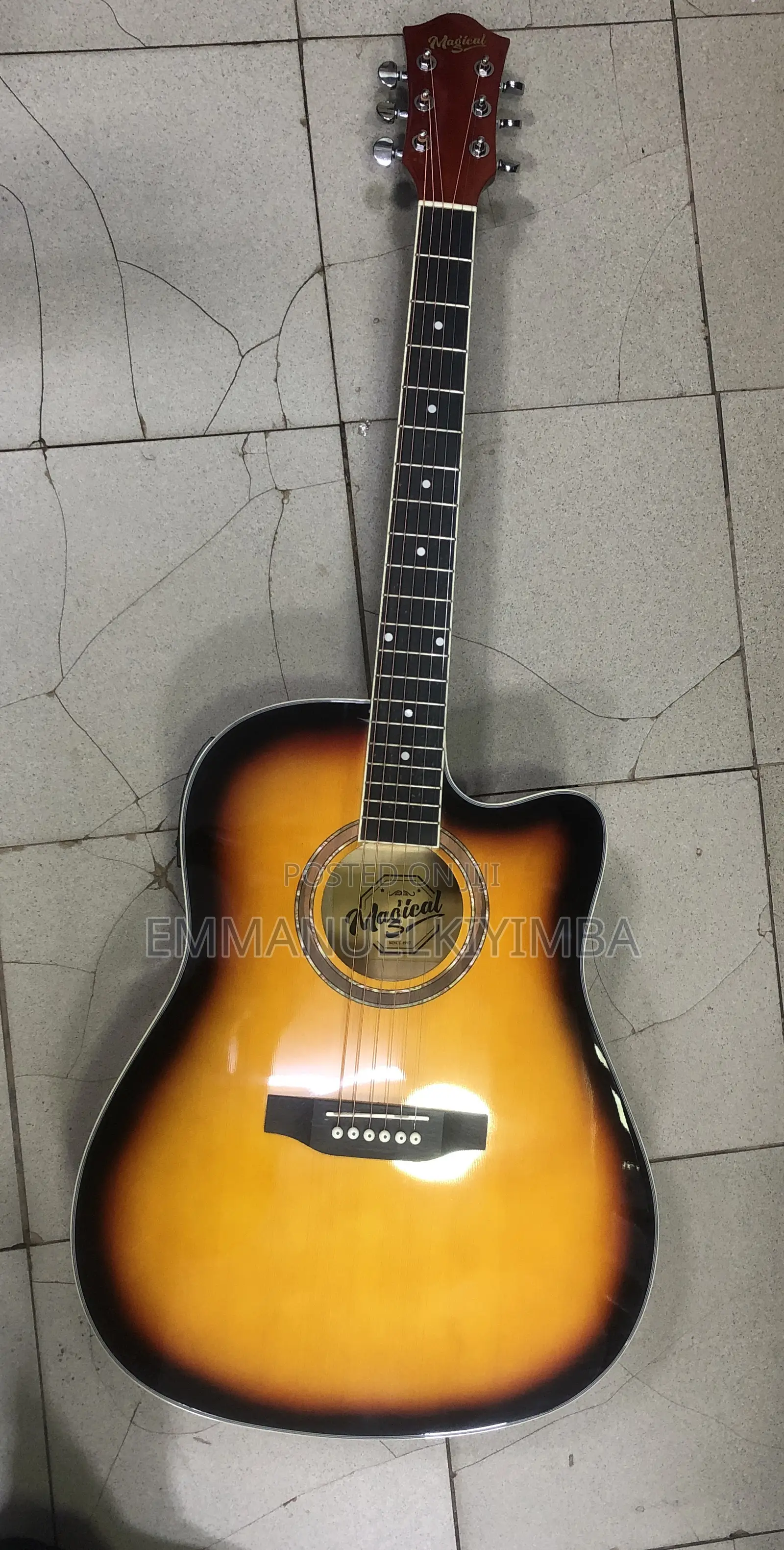 Acoustic Electric Guitar