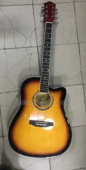 Acoustic Electric Guitar