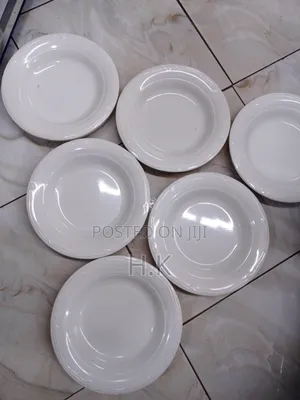 6pcs Heavy and Unbreakable Melamine Plates