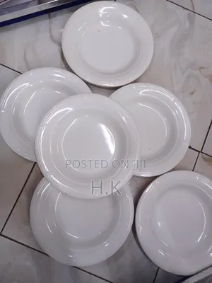 6pcs Heavy and Unbreakable Melamine Plates