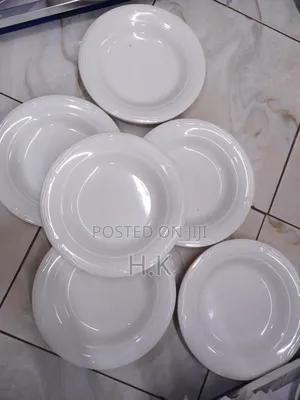 6pcs Heavy and Unbreakable Melamine Plates