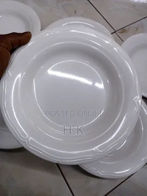 6pcs Heavy and Unbreakable Melamine Plates
