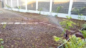 Kamoga Compound Designer and Natural Garden Paspalum Grass