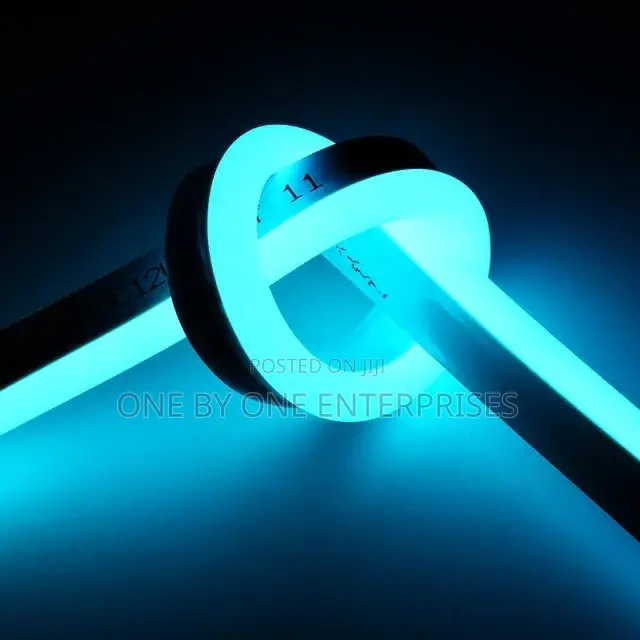 Neon LED Light Strip Flexible Outdoor Blue