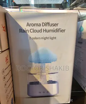 Aroma Diffuser Rain Cloud Humidifier