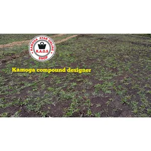 Natural Garden Paspalum Grass Lawn 1